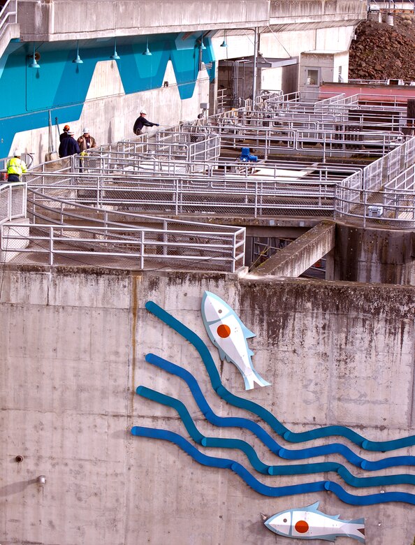 Corps of Engineers and Wash. Department of Fish and Wildlife employes dewater The Dalles Dam fish ladder.