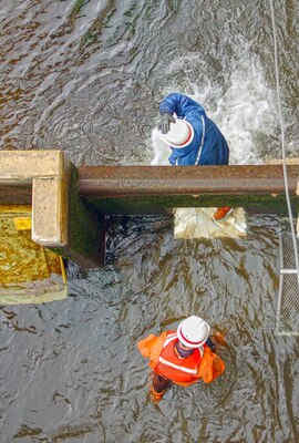 Corps of Engineers and Wash. Department of Fish and Wildlife employes dewater The Dalles Dam fish ladder. As water levels decrease, employees guide fish toward the downstream exit of the fish ladder.