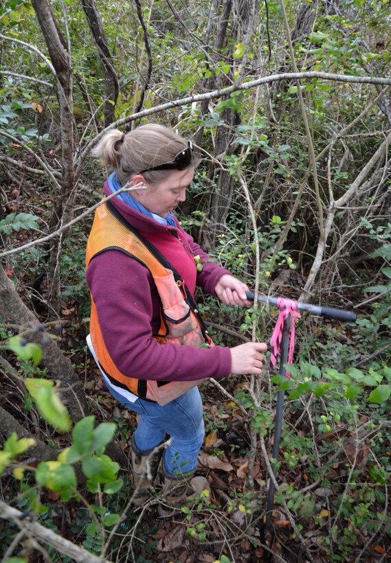 Wilmington District Regulatory project manager Liz Hair Shelburne prepares to get a soil sample with an auger to see if it's wetlands.  Wetlands are identified by three indicators; soil, hydrology and vegetation.  (USACE photo by Hank Heusinkveld)