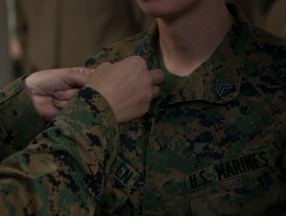 Sgt. Danielle McMillen, a native of Chesapeake, Va., was promoted to the rank of sergeant Dec. 2, 2013. McMillen is a fiscal clerk for the 6th Marine Corps District supply section at Parris Island, S.C. The rank of sergeant is the second noncommissioned officer rank in the Marine Corps. Marine sergeants are often responsible for the leadership and training of subordinates. Less than 15% of enlisted active duty Marines hold the rank of sergeant. McMillen said, "The most motivating thing about progressing in
rank in the Marine Corps is the greater ability I now have to influence and mentor junior Marines."

