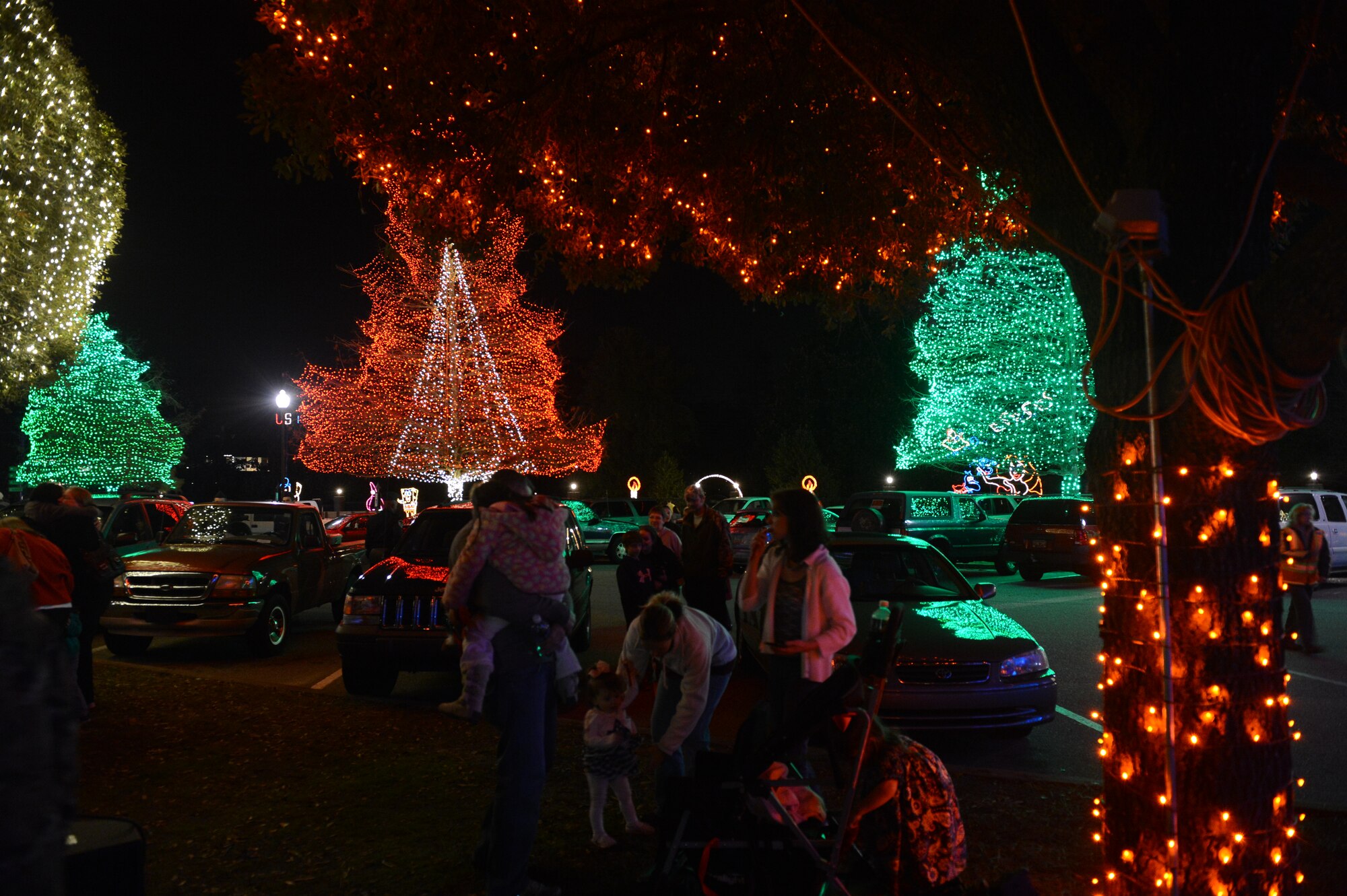 Families take in the sights of the Fantasy of Lights at Swan Lake Iris Gardens, Sumter, S.C., Dec. 1, 2013. More than one million lights make this event one of the largest Christmas light displays in the state. (U.S. Air Force photo by Tech. Sgt. Frank Miller/Released)