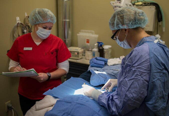 Moria Roberts (right), Doctor of Veterinary Medicine, and Kristen Davis, veterinary technician, perform a minor surgery Nov. 22, 2013, at the Veterinary Treatment Facility on Joint Charleston - Air Base, S.C. The facility provides animal care to active-duty military, their dependents and retirees. (U.S. Air Force photo/Senior Airman Ashlee Galloway)