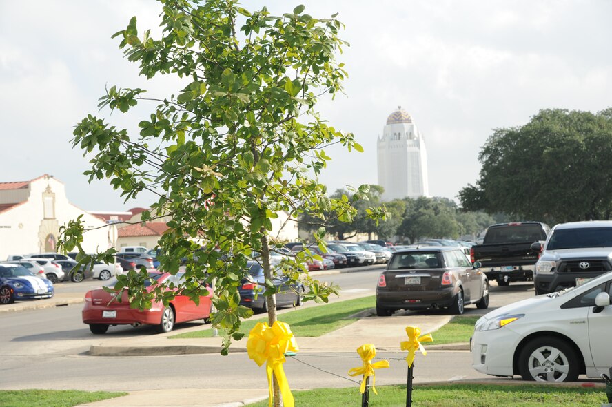 A tree and plaque dedication ceremony honoring Patricia Peek was held Sept. 26 outside the Air Force Personnel Center at Joint Base San Antonio-Randolph, Texas. Peek was chief of Air Force Retiree Services until her death Nov. 24, 2012, at age 68.  She was a 30-year civil servant with the center and a force behind the Afterburner; an expert on the Survivor Benefit Plan; the backbone of the Air Force Retiree Council; and a staunch supporter of Retiree Activities Offices worldwide. (U.S. Air Force photo)