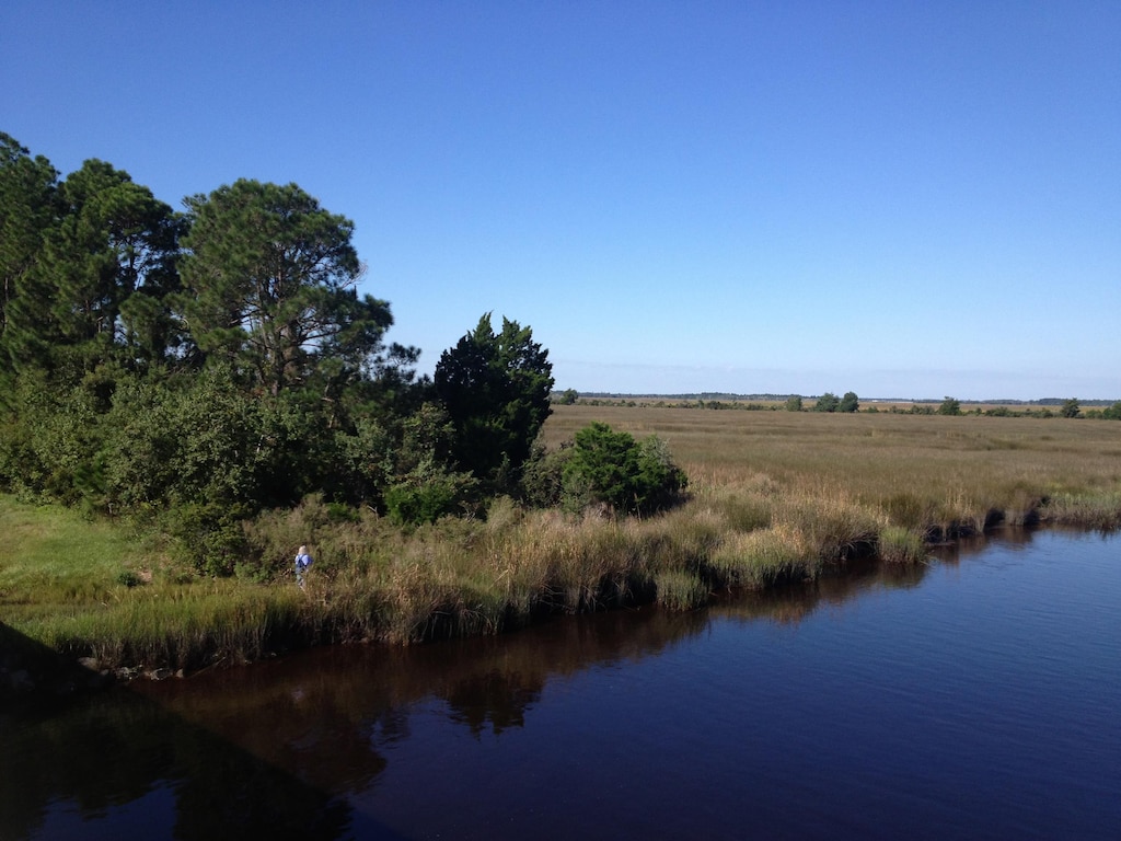 Enge’s estate preserved this classic salt marsh wetland habitat along the Nassau River, viewed from the Nassau River Bridge, dominated by black needle rush and smooth cordgrass.