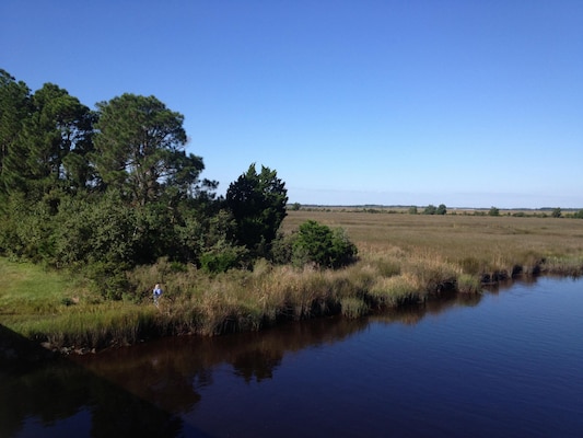 Enge’s estate preserved this classic salt marsh wetland habitat along the Nassau River, viewed from the Nassau River Bridge, dominated by black needle rush and smooth cordgrass.