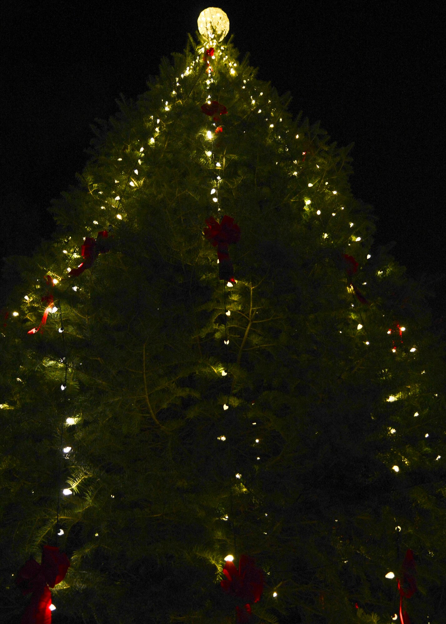 The base Christmas tree stands illuminated on the chapel lawn at Langley Air Force Base, Va., Dec. 3, 2013.The annual tree-lighting ceremony traditionally signifies the beginning of the holiday season at Langley. (U.S. Air Force photo by Airman First Class Victoria Taylor)