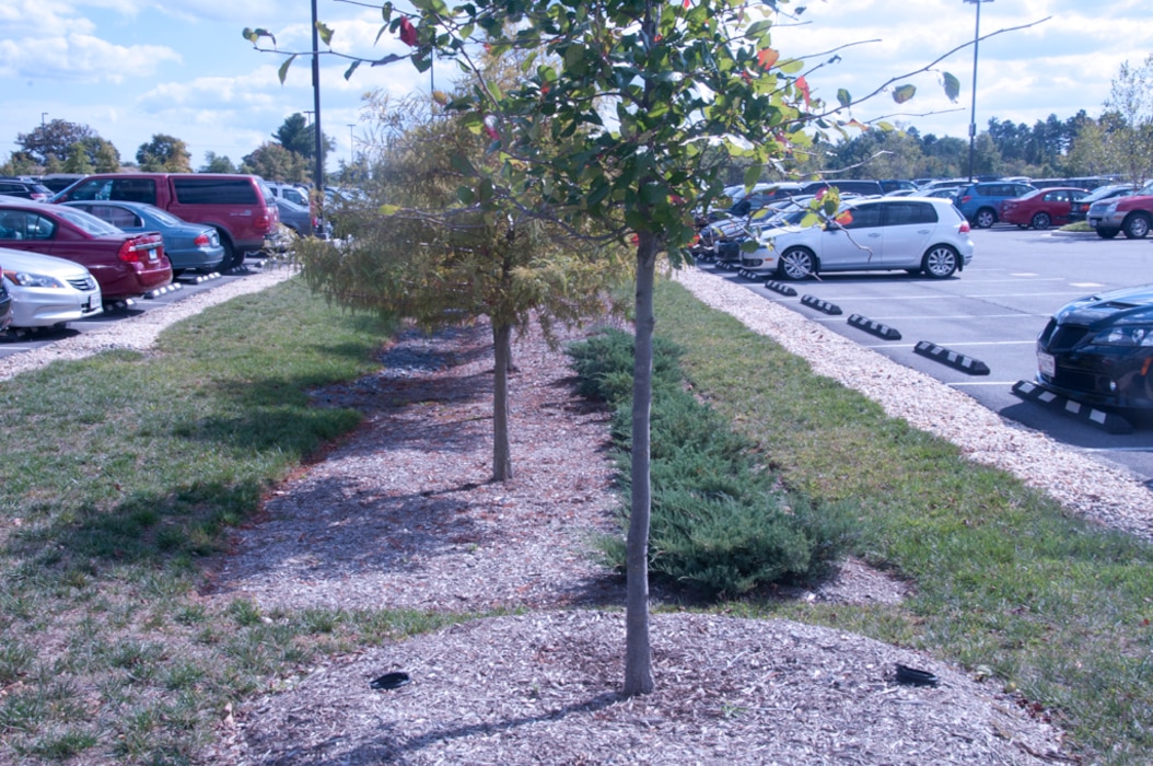 Bioretention with impervious disconnection in parking lot at Fort Meade, Maryland.