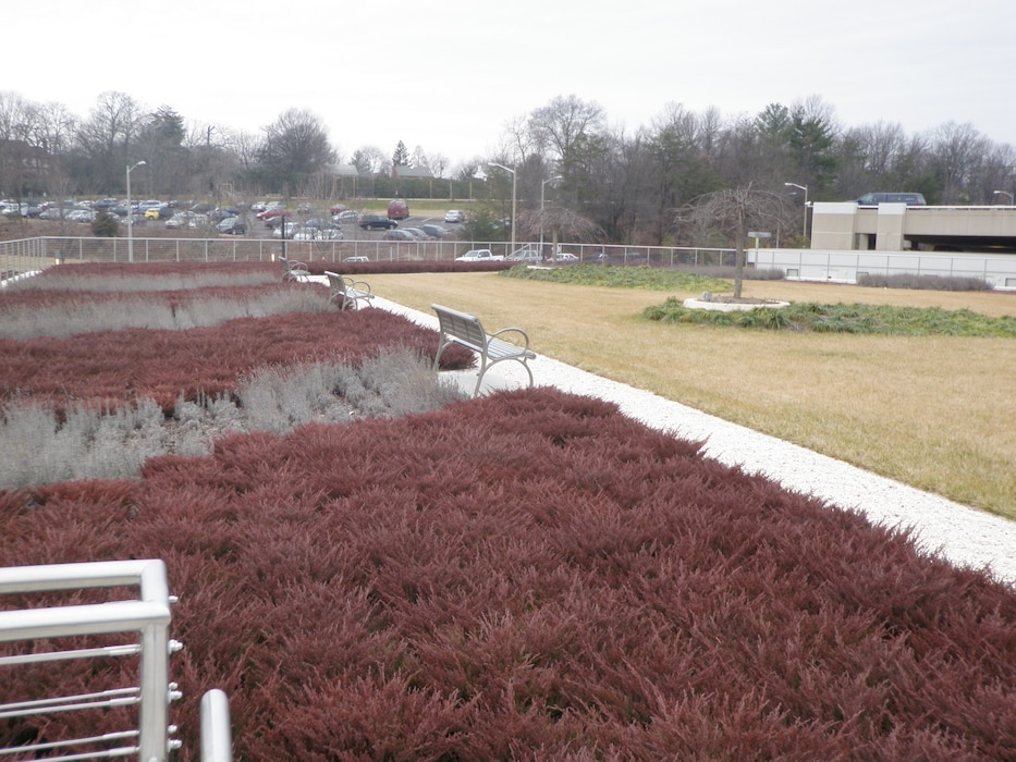 Green roof at Army National Guard Readiness Center, Arlington, Virginia.