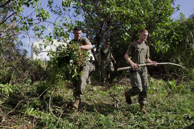Marines assist the Environmental Compliance and Protection Department clear invasive vegetation at the percolation ditch wetland during Malama Ka Aina, Dec. 3, 2013. During Malama Ka Aina, a biannual event at Marine Corps Base Hawaii, all units aboard the base participate in major cleaning efforts, from retrieving garbage in the waterways to clearing weeds and sweeping the sidewalks. (U.S. Marine Corps photo by Kristen Wong)