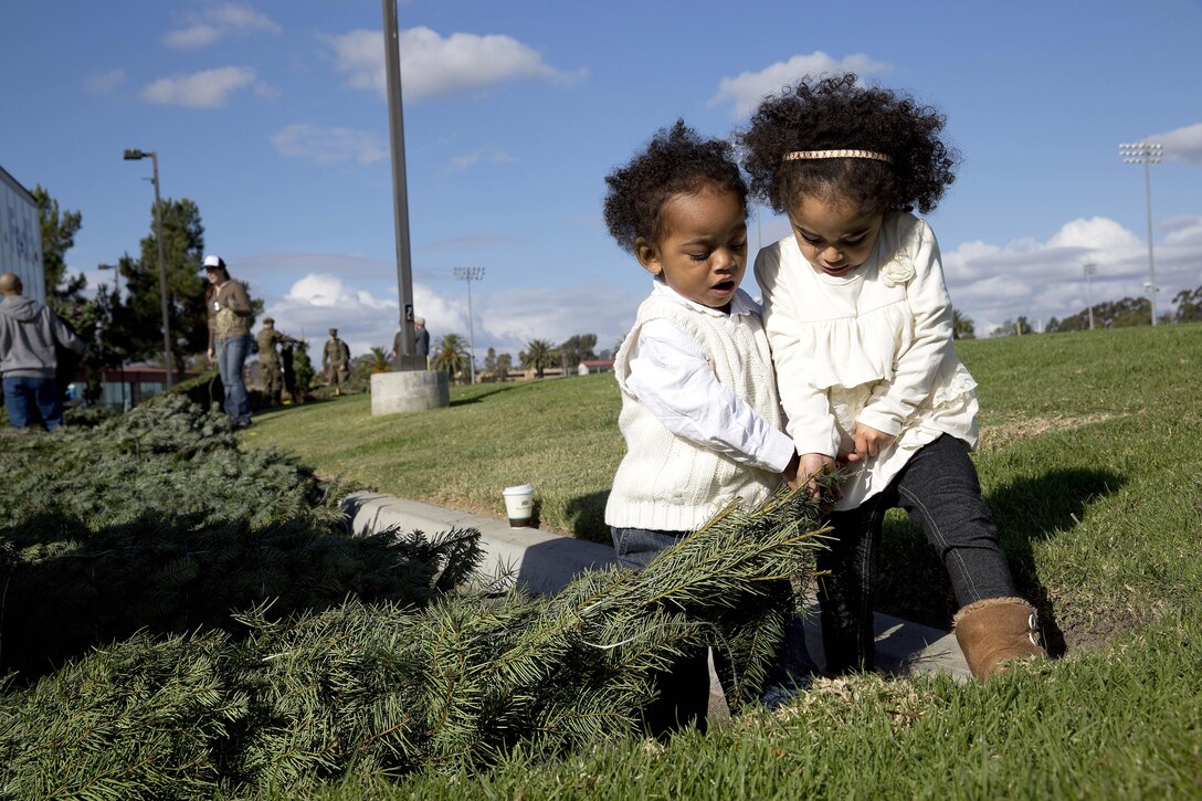 Sarya and Tre Dixon help each other search for a Christmas tree during the Trees for Troops 2013 event. Approximately 800 trees were delivered to Pendleton for the annual Trees for Troops giveaway Dec. 6. Trees for Troops is a program that collects and delivers Christmas trees to service members and their families at 60 military bases in the U.S. and overseas.