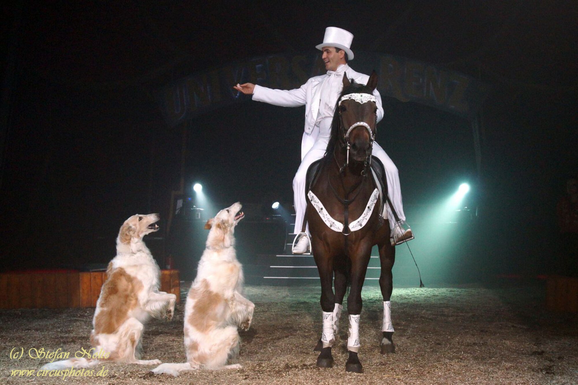 The horse trainers and circus performers, Duo Urunov, will present a horse gala show during this year’s Christmas Circus of Trier, Dec. 23 through Jan. 5, including horses and dogs. The Duo Urunov won prizes at the International Circus Festivals of Montecarlo and Massy before, as rewards for their outstanding performances. Circus shows are scheduled at Trier’s Moselauen grounds daily, at 3:30 and 7:30 p.m., except for Dec. 29 and Jan. 5, when there is one show at 11 a.m. and a second one at 3:30 p.m. There will be no shows on Dec. 24 or on New Year’s Day. (Courtesy photo)