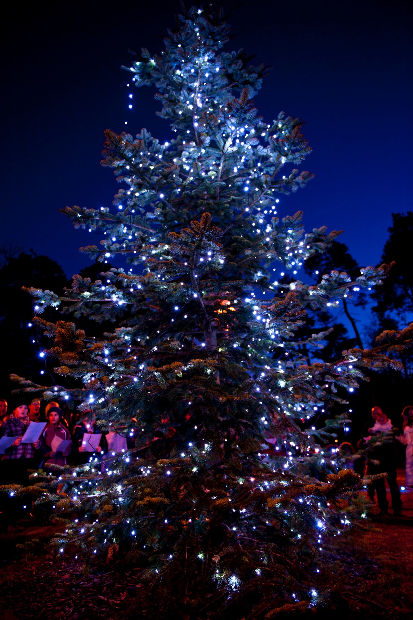 The Christmas tree awes a crowd during the 2013 Ramstein Christmas Tree Lighting ceremony, Dec. 3, 2013, Ramstein Air Base, Germany. Ramstein families gathered to celebrate the holiday season during this signature holiday event. (U.S. Air Force photo/Staff Sgt. Kris Levasseur)