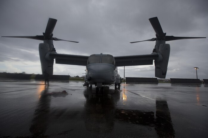 The MV-22B Osprey assigned to Marine Medium Tiltrotor Squadron 262, Marine Aircraft Wing 36, sits on the runway of Andersen AFB, Guam during exercise Forager Fury II (FFII), 7 Dec. 2013.  FFII Improves the aviation combat readiness of Marine Aircraft Group 12 and 1st Marine Aircraft Wing and simulates operations in a deployed environment. (Marine Corps photo by Lance Cpl. Richard Currier/Released)