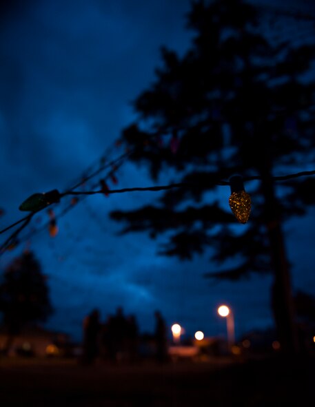 The Wolf Pack prepares to light the base tree at Kunsan Air Base, Republic of Korea, Dec. 10, 2013. The tree is one way the Wolf Pack comes together to celebrate the season while away from their family members. (U.S. Air Force photo by Senior Airman Armando A. Schwier-Morales) 