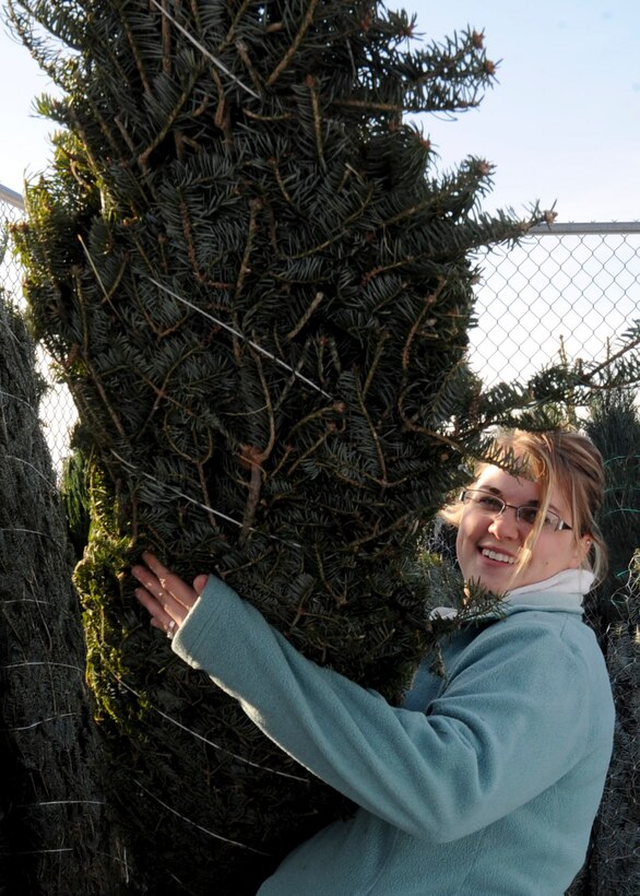 Kayla Halvorson, wife of a deployed Airman, selects a Christmas tree from the 235 donated to the base by The Christmas SPIRIT at Ellsworth Air Force Base, S.D., Dec. 6, 2013. Spouses of deployed Airmen were given first pick of the trees that are also available to all Ellsworth personnel, South Dakota National Guardsmen and Douglas School ROTC cadets. (U.S. Air Force photo by  Senior Anania Tekurio/Released)
