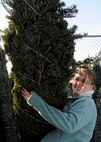 Kayla Halvorson, wife of a deployed Airman, selects a Christmas tree from the 235 donated to the base by The Christmas SPIRIT at Ellsworth Air Force Base, S.D., Dec. 6, 2013. Spouses of deployed Airmen were given first pick of the trees that are also available to all Ellsworth personnel, South Dakota National Guardsmen and Douglas School ROTC cadets. (U.S. Air Force photo by  Senior Anania Tekurio/Released)