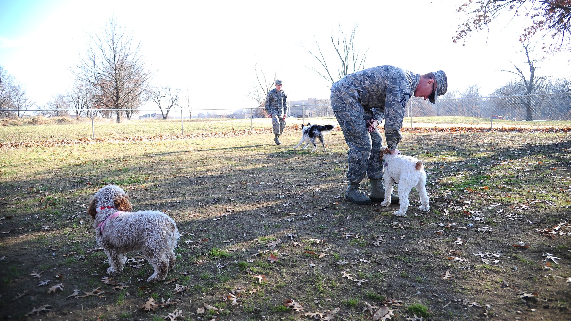 U.S. Air Force Master Sgt. Daniel Lauseng from the 509th Operations Support Squadron plays with his pets at the opening of the Whiteman Dog Park, Dec. 3, 2013, at Whiteman Air Force Base, Mo. The park is open to all puppies at least 4 months old.  (U.S. Air Force photo by Staff Sgt. Brigitte N. Brantley/Released)