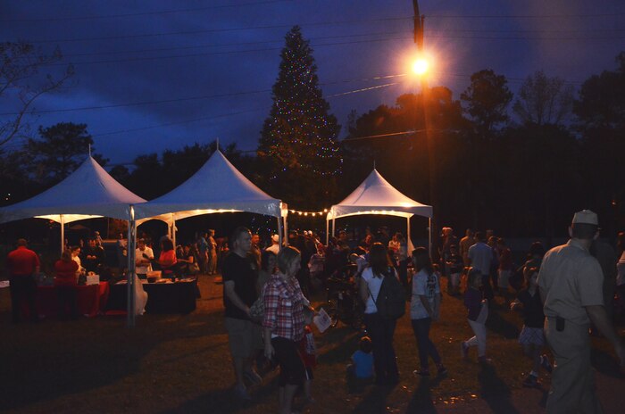More than 100 Joint Base Charleston - Weapons Station friends and families attended the lighting of the Weapons Station Christmas Tree at the Naval Support Activity Charleston headquarters Building, Dec. 5, 2013. The JB Charleston Libraries won the holiday card contest on the Weapons Station. (U.S. Navy photo/ MC2 Chad Hallford)