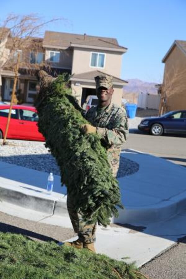 Sergeant Elton Rodgers, supply administrative chief with Headquarters Battalion on Marine Corps Logistics Base Barstow, Calif., chooses a tree for his living room at the Trees for Troops event on MCLB Barstow, Dec. 6. Service members where given the opportunity to choose a tree for their Christmas this year.


