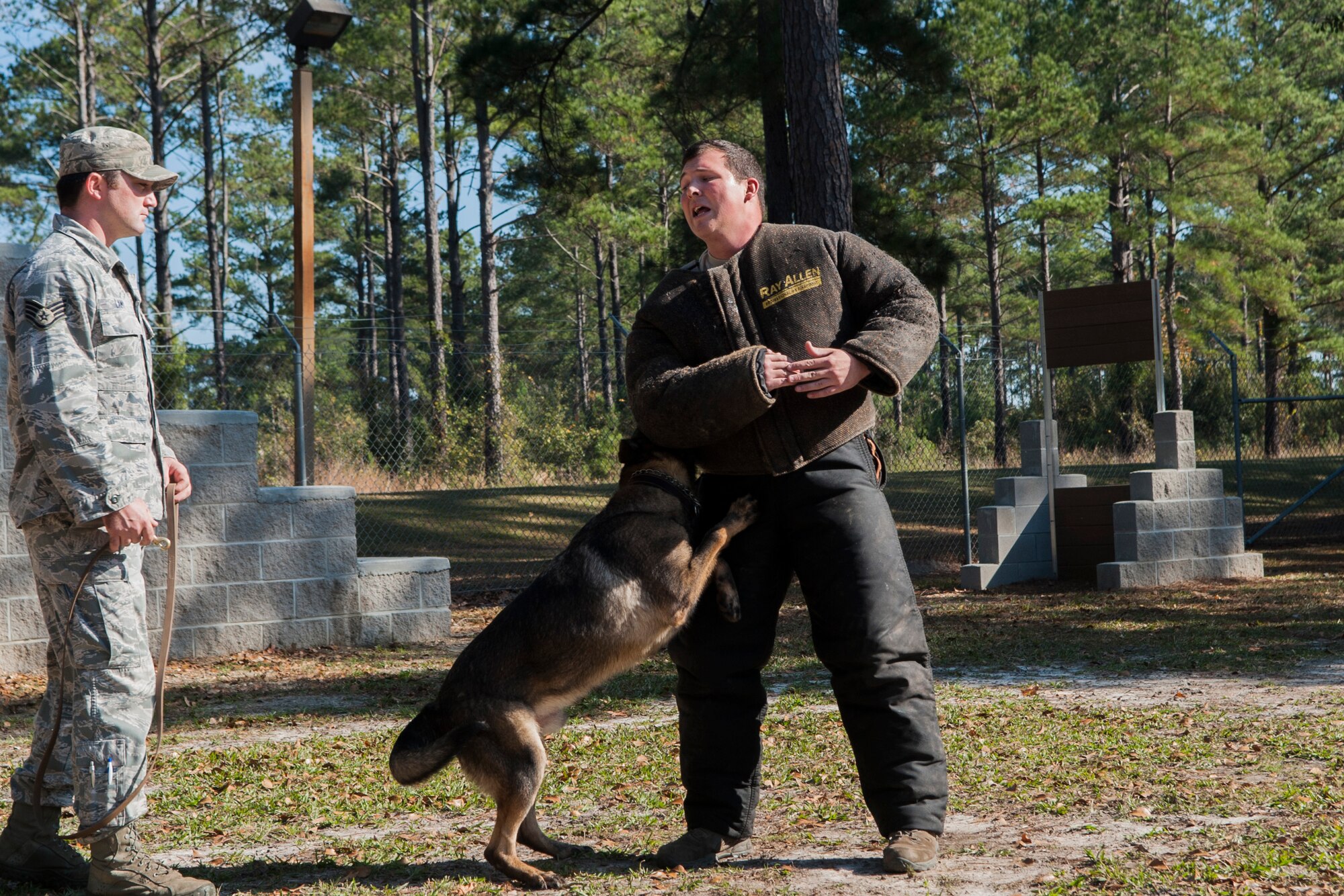 U.S. Air Force Staff Sgt. Christopher Lamy, 822d Base Defense Squadron K-9 handler looks on after commanding military working dog Copy to bite a subject at Moody Air Force Base, Ga., Dec. 2, 2013. Subjects are encouraged to resist the dog to create a realistic experience. (U.S. Air Force photo by Airman 1st Class Sandra Marrero/Released) 
