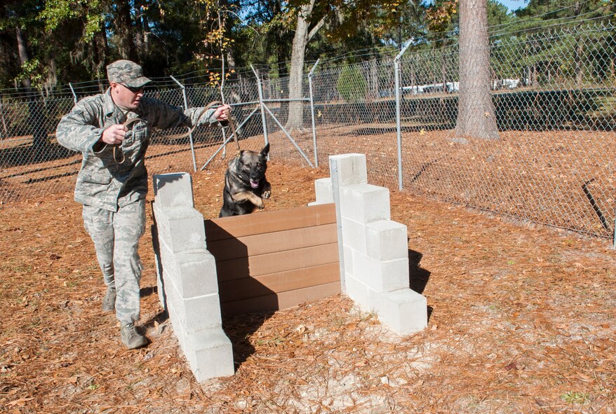 U.S. Air Force Senior Airman Brandon Johnson, 822d Base Defense Squadron K-9 handler, guides military working dog Mex as he goes through a canine obstacle course at Moody Air Force Base, Ga., Dec. 2, 2013. The obstacle course simulates what MWDs encounter while working, such as tunnels, stairs and fences. (U.S. Air Force photo by Airman 1st Class Sandra Marrero/Released) 

