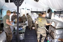 Food service specialists with Food Service Company, Combat Logistics Regiment 27, 2nd Marine Logistics Group prepare lunch for the Maj. Gen. W.P.T. Hill Field Mess Competition aboard Camp Lejeune, N.C., Dec. 11, 2013. The W.P.T. Hill Award was established in 1985 to improve food service operation and recognize the best field and garrison messes in the Marine Corps. 