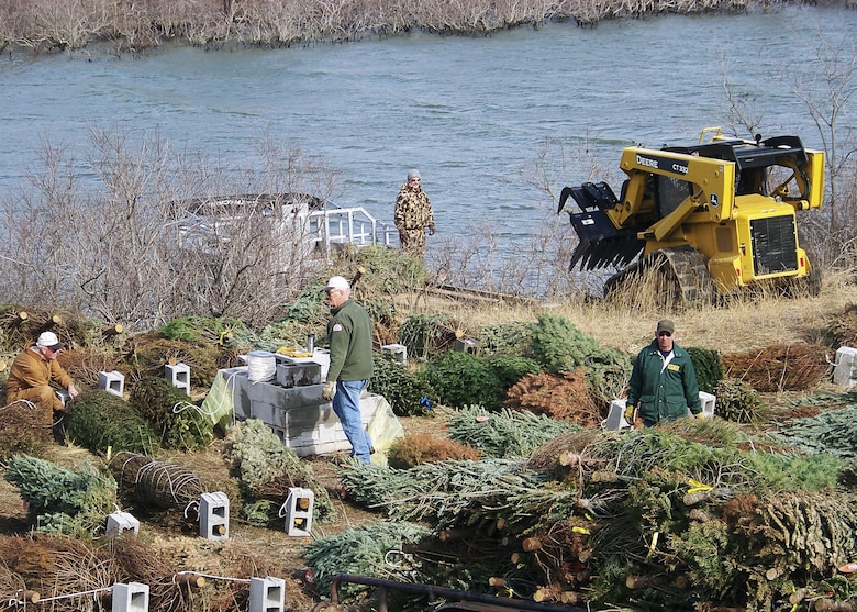 The Corps will use donated trees to create fish habitat in the lake by placing fish shelters made of bundles of Christmas trees. 