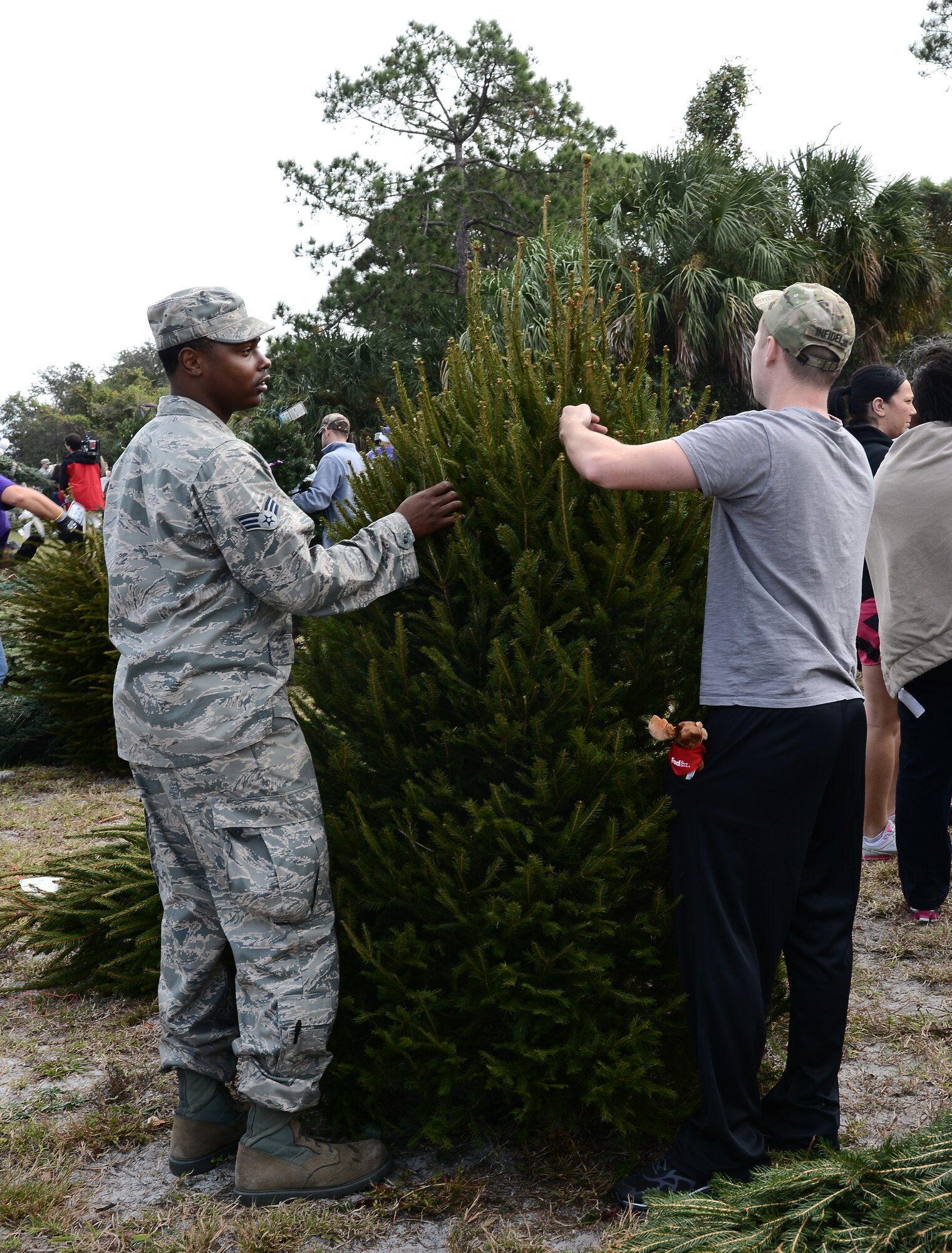 Senior Airman Branden Jones and Staff Sgt. Michael Perry, 6th Logistics Readiness Squadron, pick out a fresh-cut Christmas tree for the holidays at MacDill Air Force Base, Fla., Dec. 12, 2013. This year’s sponsors donated 500 Christmas trees to MacDill AFB and sent trees to various deployed locations. (U.S. Air Force photo by Airman 1st Class Tori Schultz/Released)