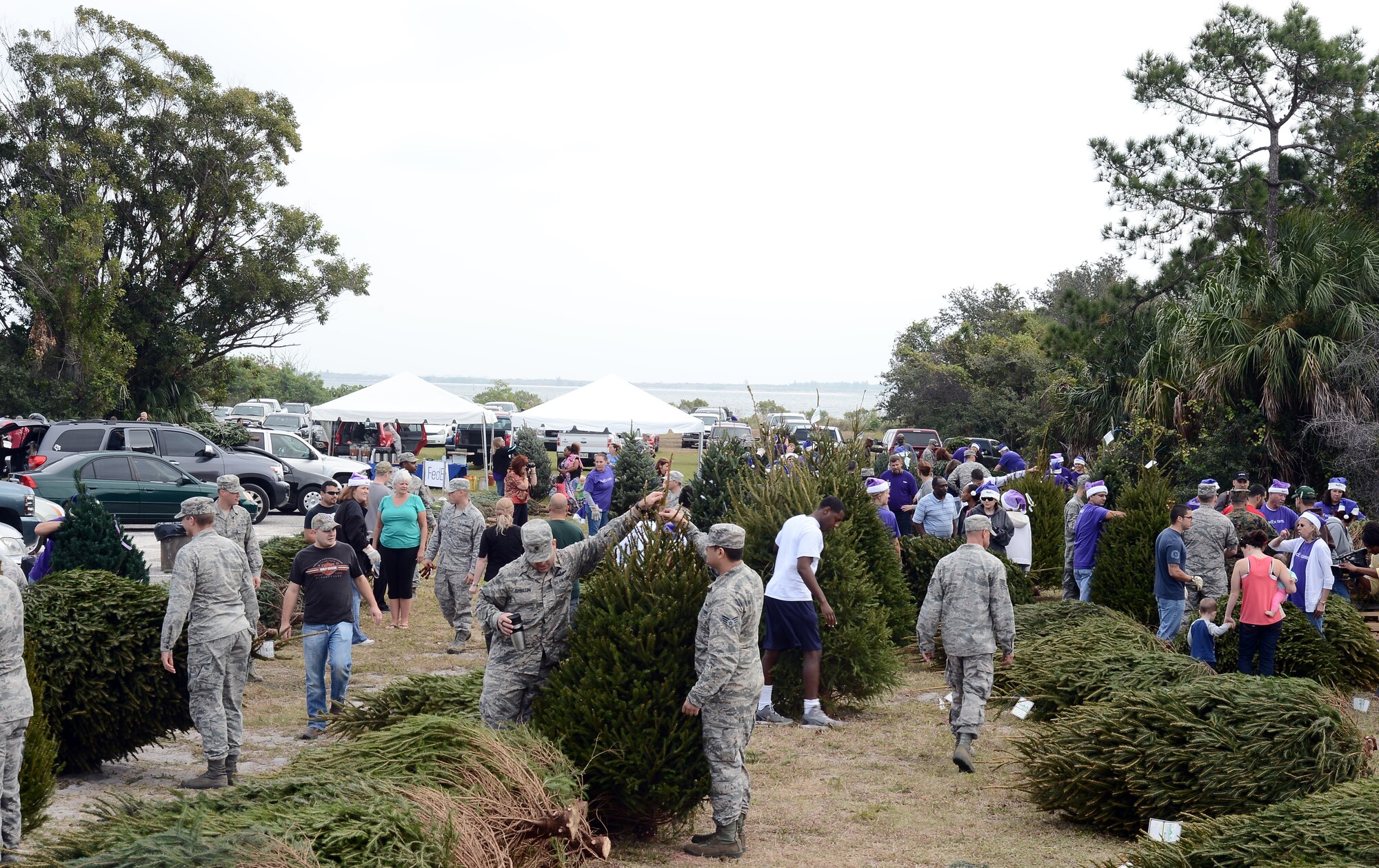 Members of Team MacDill and their families pick out Christmas trees for the holidays at MacDill Air Force Base, Fla., Dec. 12, 2013. This was MacDill AFB’s seventh annual tree giveaway. (U.S. Air Force photo by Airman 1st Class Tori Schultz/Released)