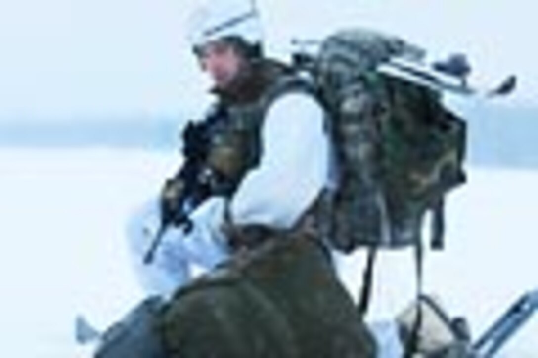 Army 1st Lt. David Pearson takes a knee as he waits for another paratrooper to secure his equipment after successfully exiting a C-130 Hercules aircraft over the Malemute Drop Zone on Joint Base Elmendorf-Richardson, Alaska, Dec. 12, 2013. Pearson is assigned to the 25th Infantry Division's 1st Squadron, 40th Cavalry Regiment, 4th Infantry Brigade Combat Team Airborne, Alaska.