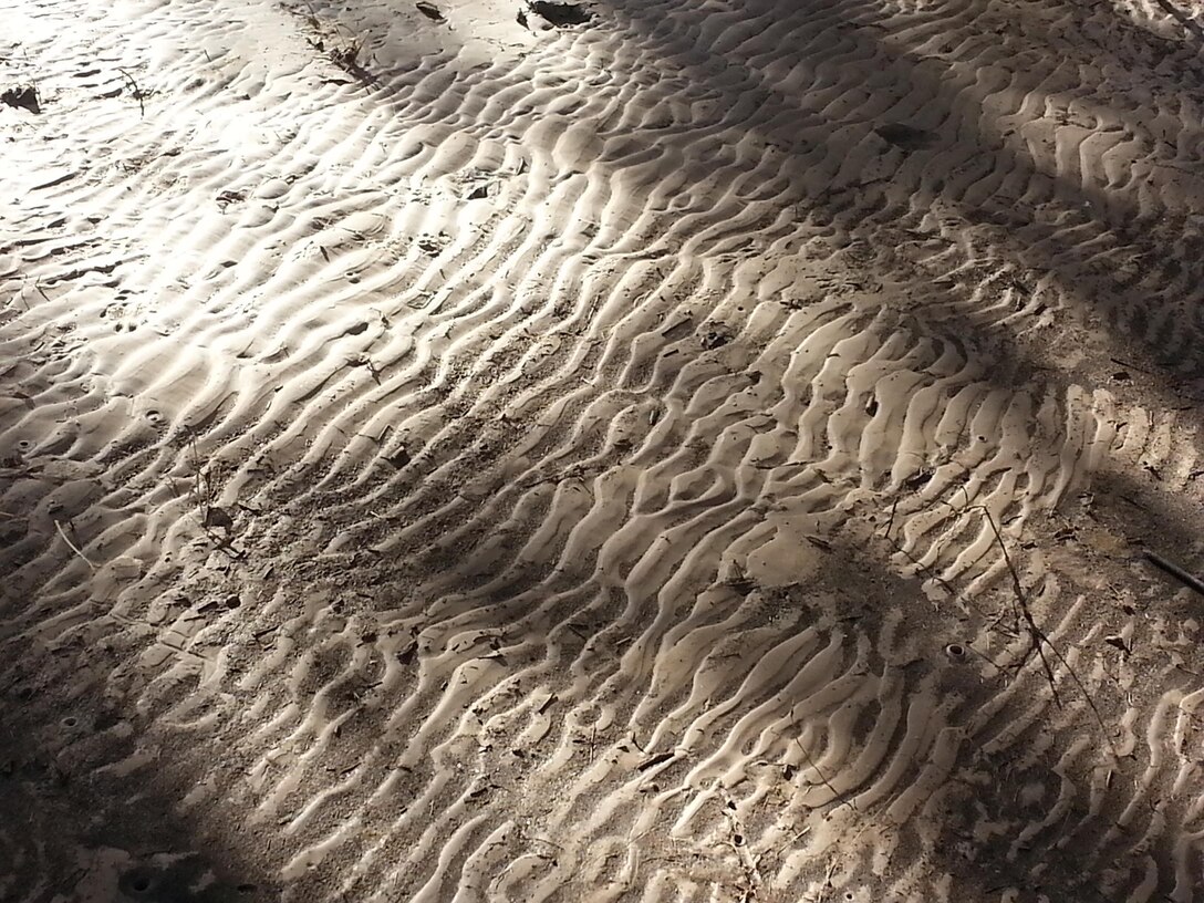 COCHITI LAKE, N.M., -- 2013 District Photo Drive submission. Photo by Marcos Rosacker, October 2013. 
"Cochiti Lake floodwater sand print deposits taken along the Santa Cruz Road." 