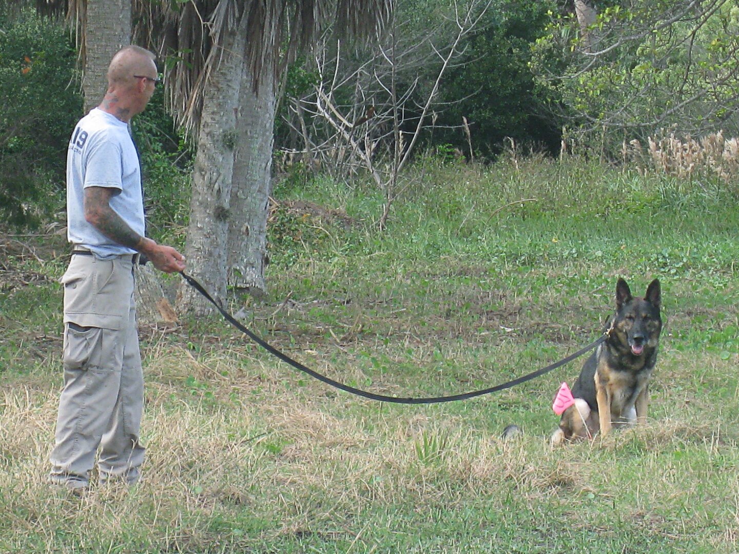 Don, a five-year-old German Shepherd, proudly sits to indicate to his handler, Roger Tappan of AMK9 that he has located his target.