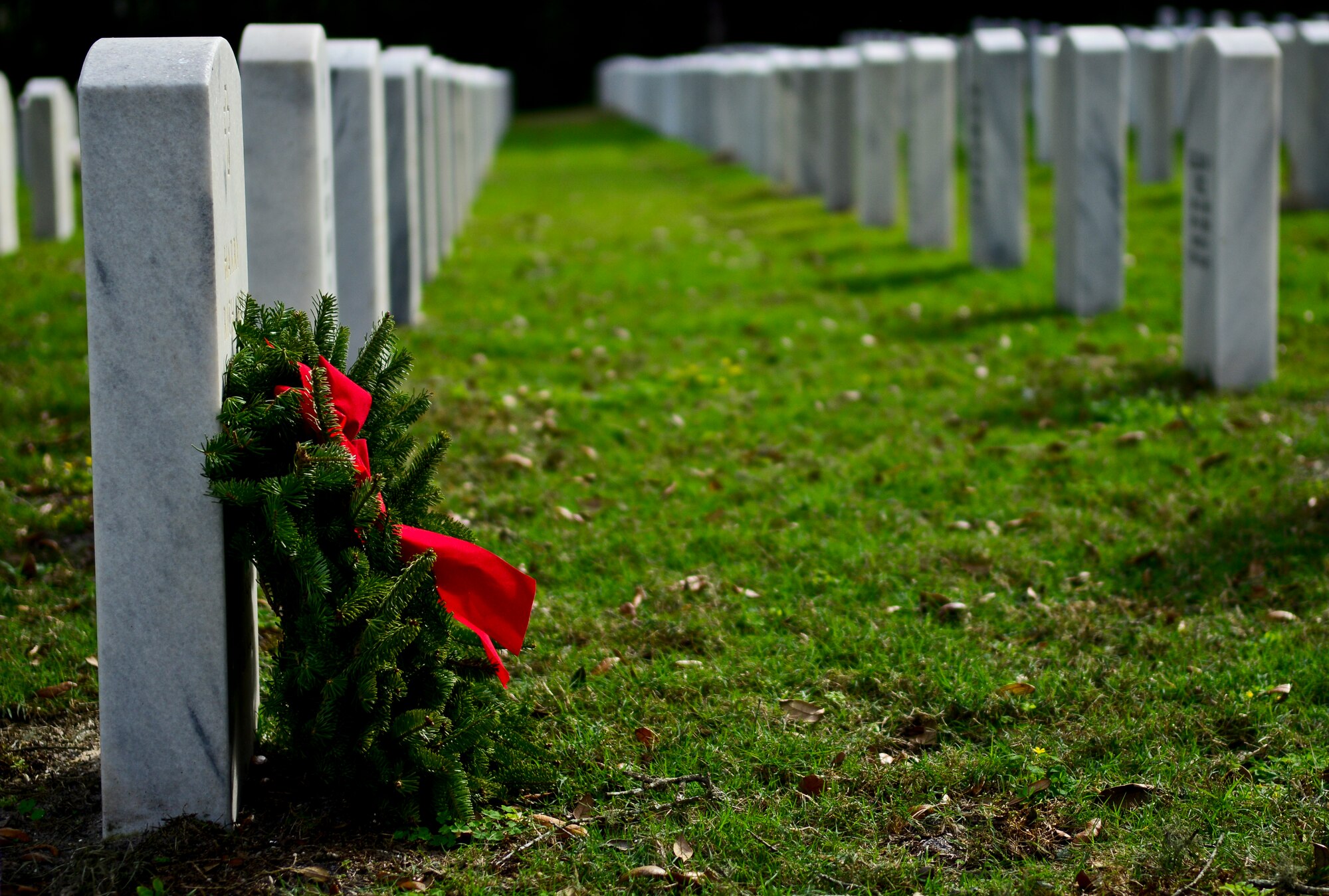 A single wreath lies at the grave of an Army master sergeant who fought in World War II at the Florida National Cemetery in Bushnell, Fla., Dec. 14, 2013. Wreaths Across America honors the men and women who have served our nation by placing wreaths at cemeteries worldwide every year. (U.S. Air Force photo by Airman 1st Class Ned T. Johnston/Released)