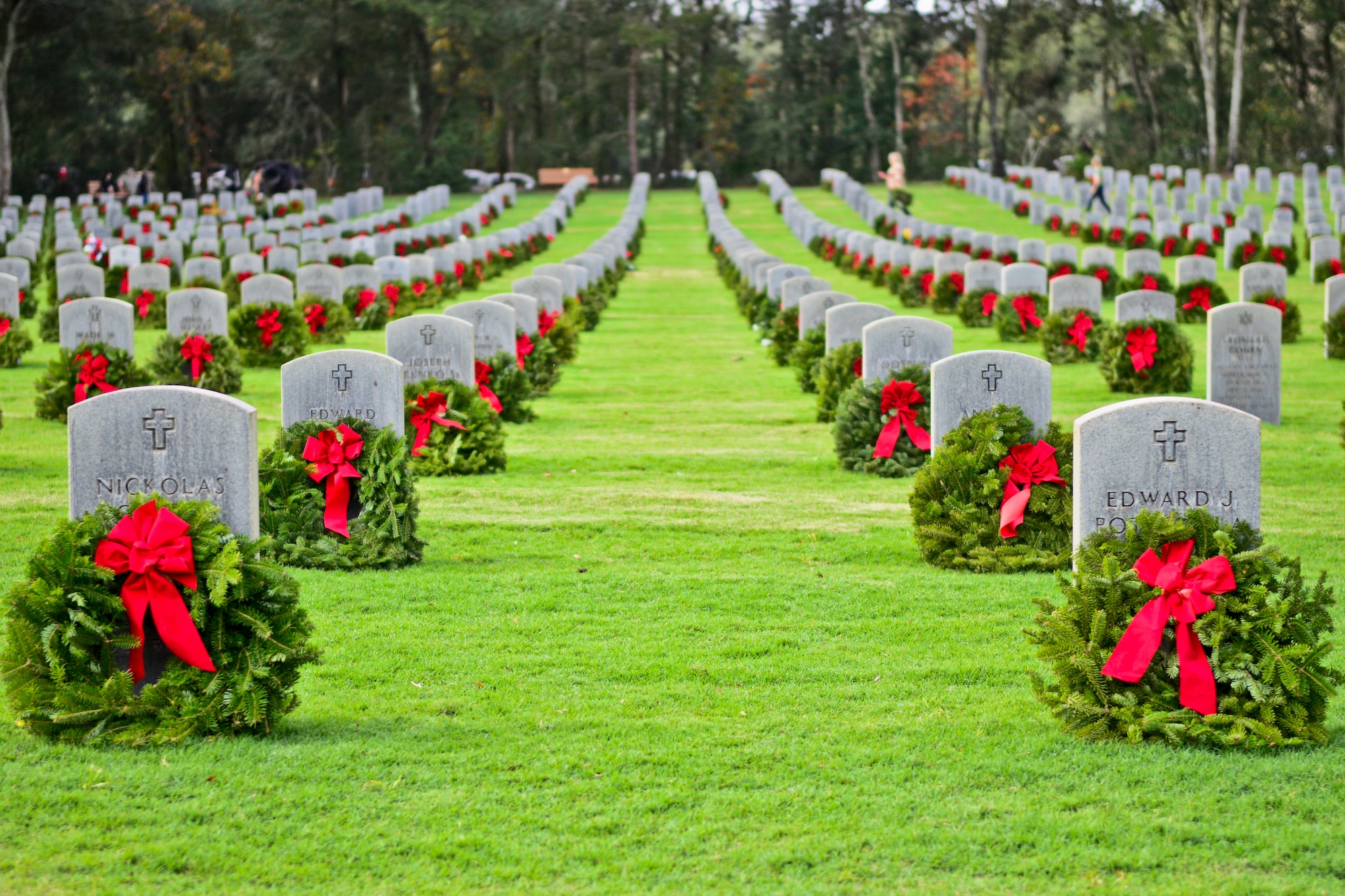 Nine thousand two hundred wreaths lay on the graves of servicemen and women at the Florida National Cemetery in Bushnell, Fla., Dec. 14, 2013. The Wreaths Across America campaign reached over 500 different cemeteries worldwide this year. (U.S. Air Force photo by Airman 1st Class Ned T. Johnston/Released)