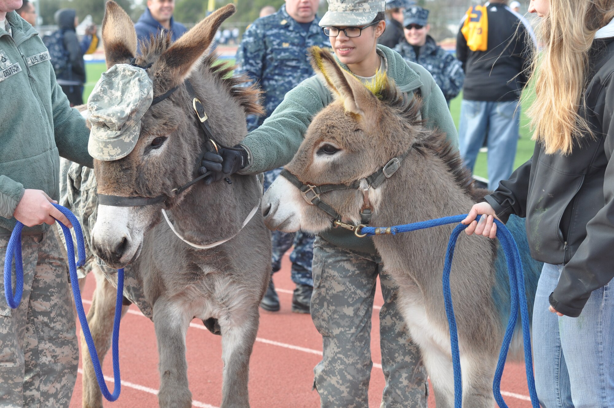 GOODFELLOW AIR FORCE BASE, Texas – The Army Team donkey meets up with the Navy Team donkey during the Army-Navy flag football game at the Mathis Fitness Center football field Dec. 11. The Army dress their donkey in the Army Combat Uniform While the Navy colored the donkey with their colors. (U.S. Air Force photo/ Airman 1st Class Erica Rodriguez)