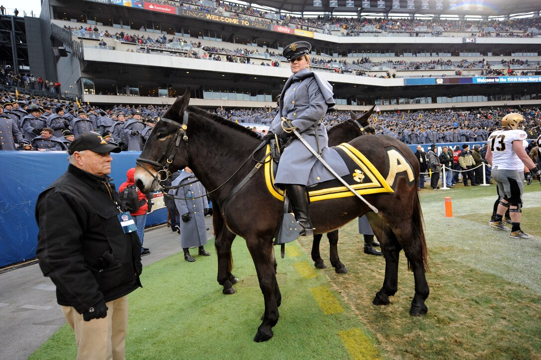 A U.S. Military Academy cadet mule rider Katherine Deaton stops on the sidelines with Stryker, the half-brother of Ranger III, one of the two Army mascots, before rallying the Army fans during the pre-game ceremonies for the 114th Army-Navy Game at the Lincoln Financial Field in Philadelphia, Dec. 14, 2013. 