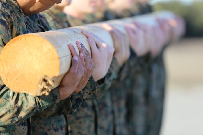 Recruits of Company F, 2nd Recruit Training Battalion, wait for the whistle to perform log curls as a unit during log drills aboard Marine Corps Recruit Depot San Diego, Nov. 26.  The purpose of log drills was to put recruits in a physically straining environment while working as a team to accomplish the event.