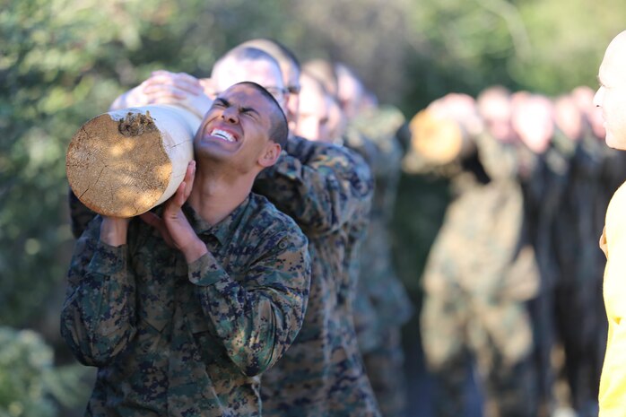 Recruits of Company F, 2nd Recruit Training Battalion, struggle to perform log squats during log drills aboard Marine Corps Recruit Depot San Diego, Nov. 26.  Recruits stopped at every corner of the depot's track to execute various exercises including log squats, curls, side benders, and lifts.