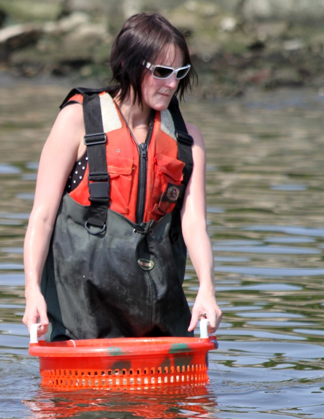 Kristen Donofrio, team lead for the Norfolk District’s Science, Technology, Engineering and Math, or STEM, team, prepares to transfer baby oysters from the floats to the sanctuary reef July 12, 2012. Donofrio often volunteers with the Corps’ oyster gardening project.