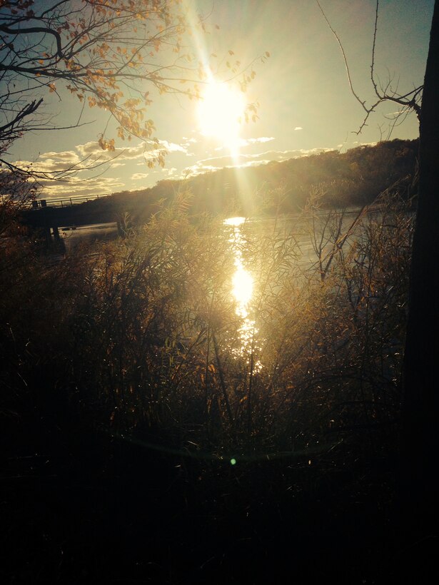 ALBUQUERQUE, N.M., -- 2013 Photo Drive submission. Photo by Erica Quinn, Nov. 3, 2013. "Sunset in the Rio Grande Bosque as seen from the Alameda Bridge, Albuquerque, N.M."