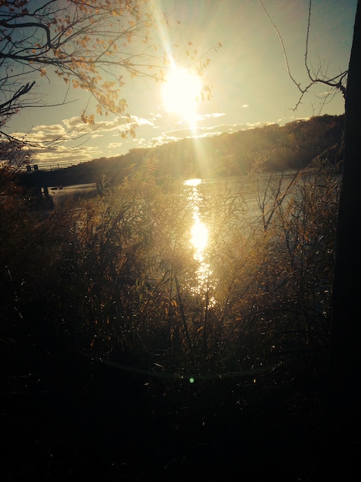 "Sunset in the Rio Grande Bosque as seen from the Alameda Bridge, Albuquerque, N.M." Photo by Erica Quinn, Nov. 3, 2013.