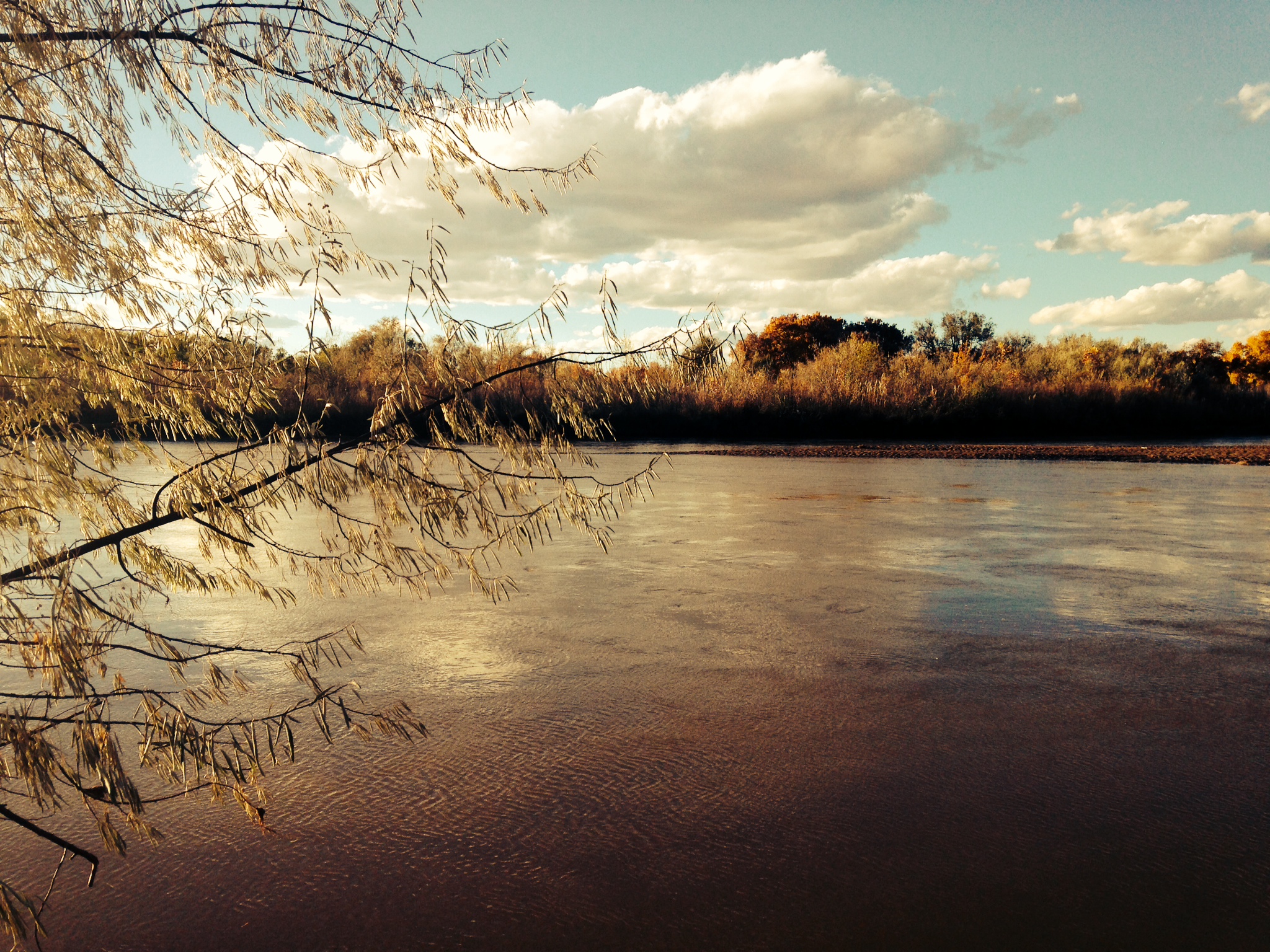 Water, Weather And The Future > Albuquerque District > Albuquerque