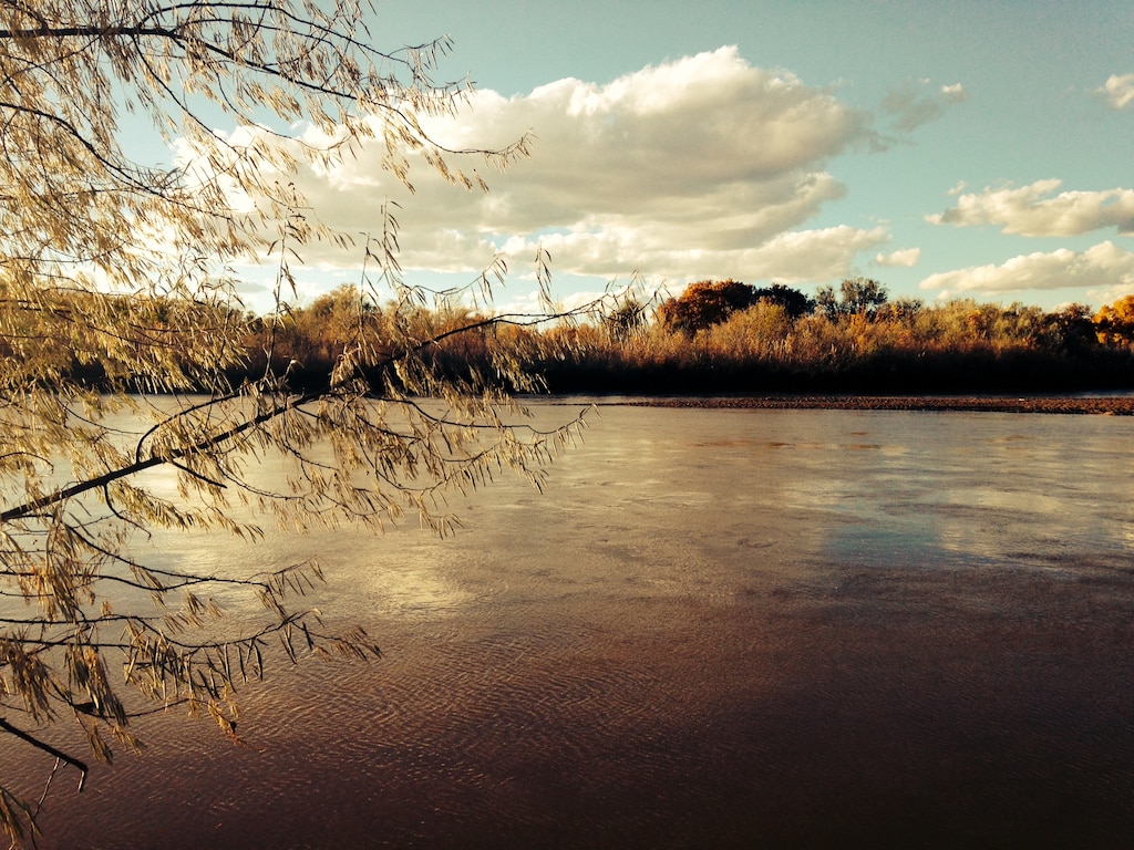 ALBUQUERQUE, N.M., -- The Rio Grande flows through the Bosque near Alameda Bridge, Nov. 3, 2013.  
