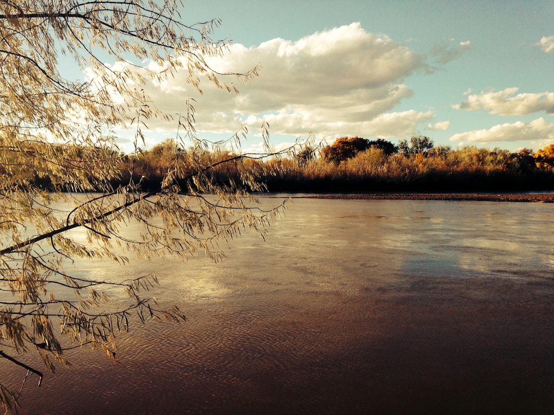 ALBUQUERQUE, N.M., -- The Rio Grande flows through the Bosque near Alameda Bridge, Nov. 3, 2013.  
