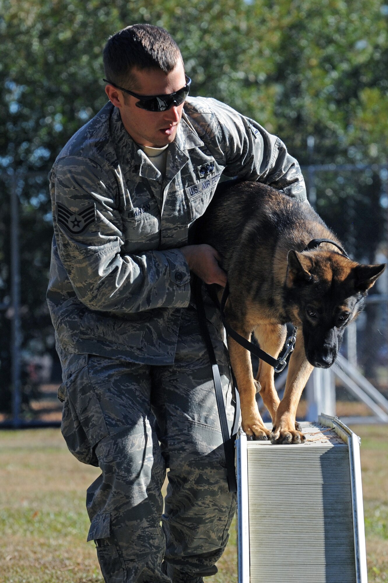 U.S. Air Force Staff Sgt. Alexander Baron, 4th Security Forces Squadron military working dog (MWD) handler, helps his partner, Kuli, 4th SFS MWD, navigate an obstacle course at Seymour Johnson Air Force Base, N.C., Nov. 14, 2013. MWDs and handlers assist fellow security forces members in daily operations to protect Team Seymour’s personnel and resources. (U.S. Air Force photo by Airman 1st Class Aaron J. Jenne)