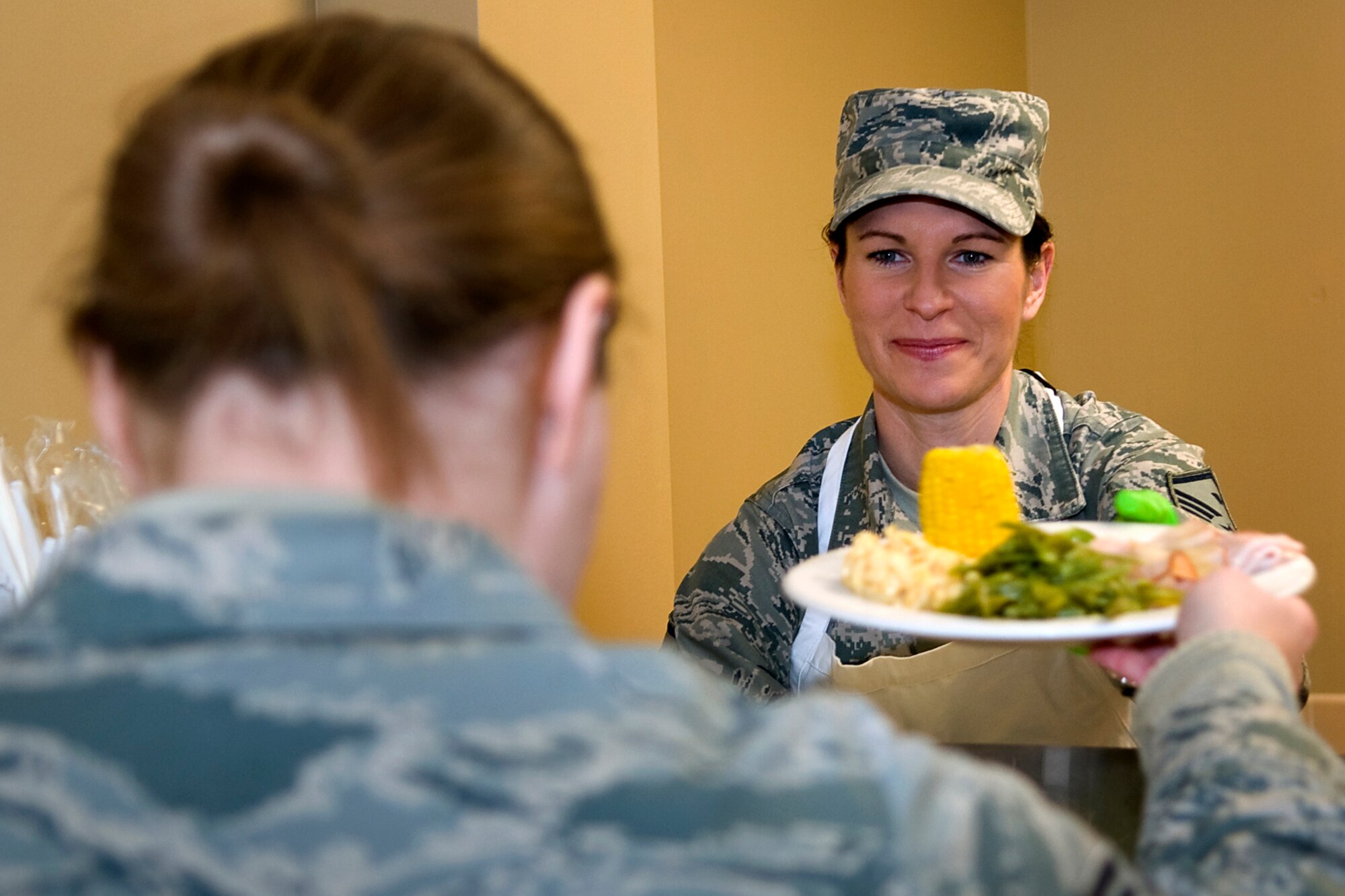 Master Sgt. Wendi Conwell, 434th Aerospace Medicine Squadron first sergeant serves a holiday lunch to an Airman at Grissom Air Reserve Base, Ind., Dec. 7, 2013. Each year Grissom commanders, chief master sergeants and first sergeants don aprons and wield serving utensils to spread holiday cheer. (U.S. Air Force photo/Staff Sgt. Andrew McLaughlin)
