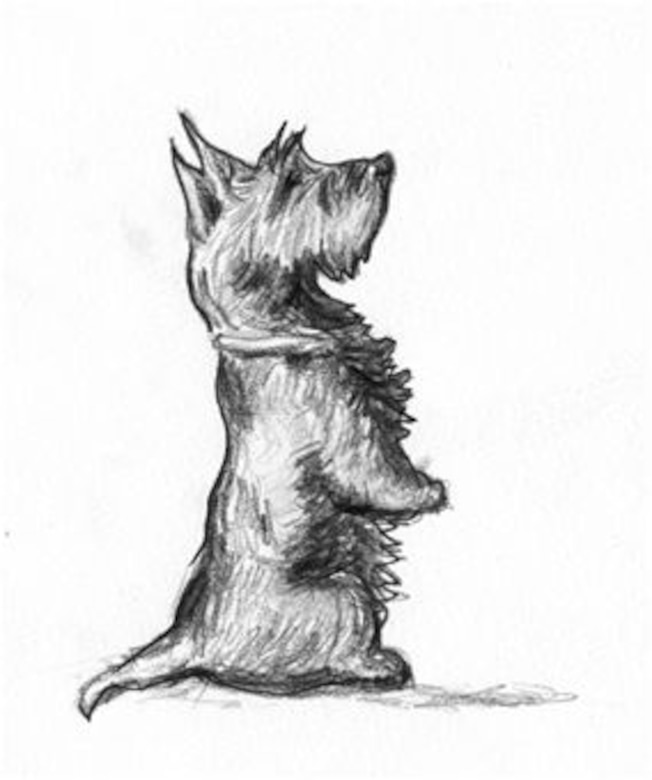 The above illustration is a rendition of Angus, an adopted Scottish terrier who resides in Oxford, Maine. According to the Humane Society of the United States, of the six to eight million dogs and cats animals shelters care for every year, nearly four million will be euthanized in the U.S. (U.S. Air Force illustration/Senior Airman Katrina Heikkinen)