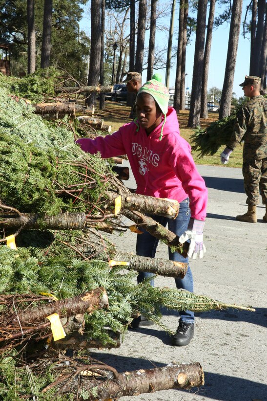 Lance Cpl. Britney James chooses a tree to distribute during the annual Trees for Troops event Dec. 11 at the Hancock Marina aboard Marine Corps Air Station Cherry Point. James was one of many Marines who volunteered to help distribute the trees to active duty service members and their families.