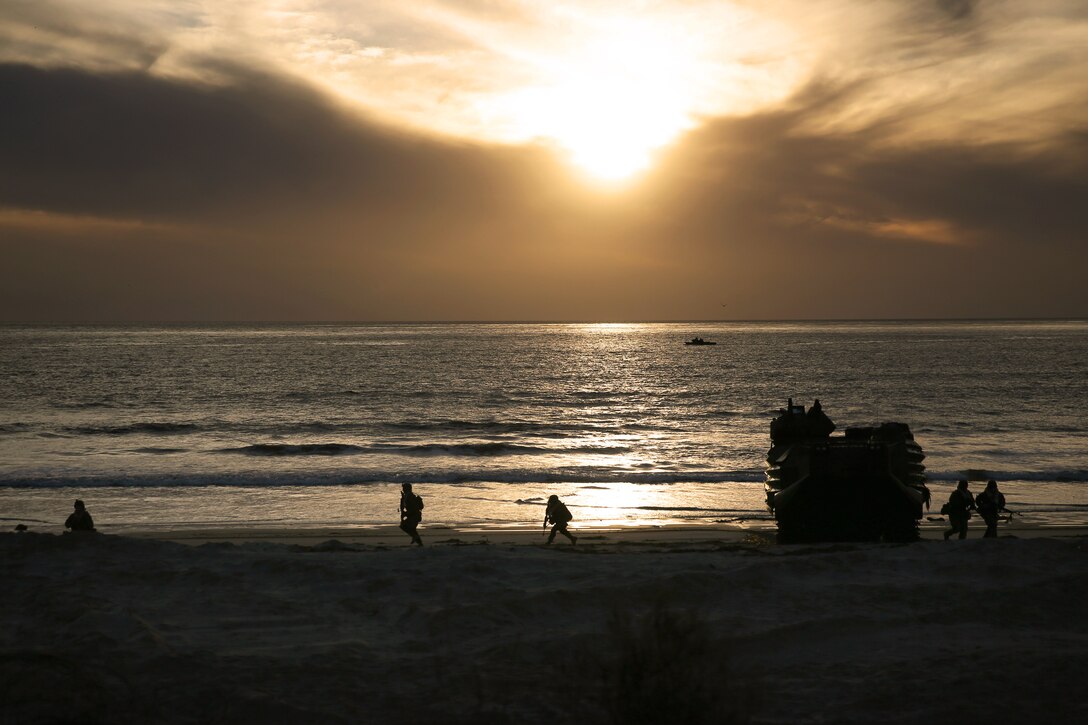 Marines establish security on Red Beach after exiting an assault amphibious vehicle with Marines assigned to 3rd Assault Amphibian Battalion during Exercise Steel Knight 2014 on Marine Corps Base Camp Pendleton, Calif., Dec. 9, 2014. The Marines are assigned to 2nd Battalion, 1st Marine Regiment. The Marines established security on the beach before they maneuvered through a mock village. Steel Knight is a large scale combined arms, live-fire exercise integrating ground troops as a maneuver force across a range of military operations.