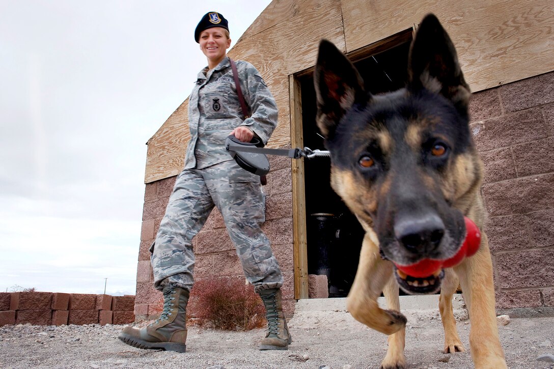 (U.S. Air Force Courtesy Photo)